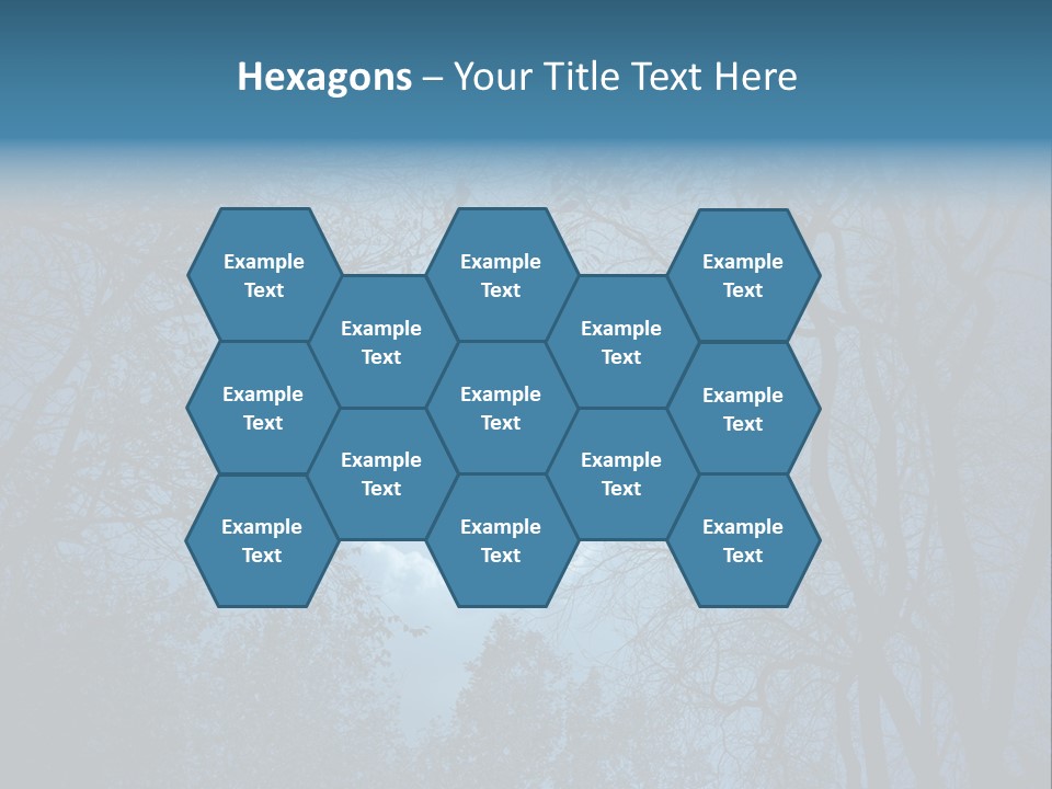 Moonlight Night PowerPoint Template