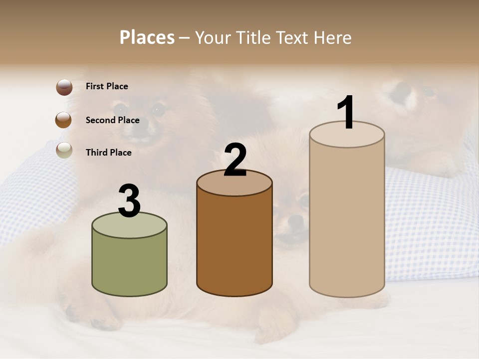 Sweet Dogs PowerPoint Template