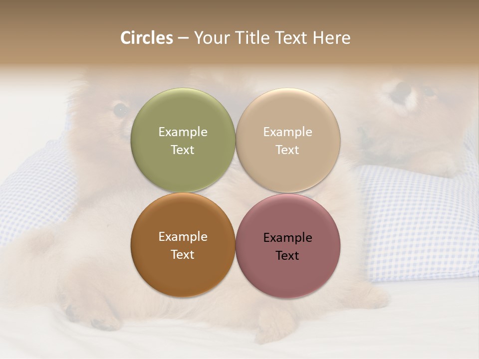 Sweet Dogs PowerPoint Template