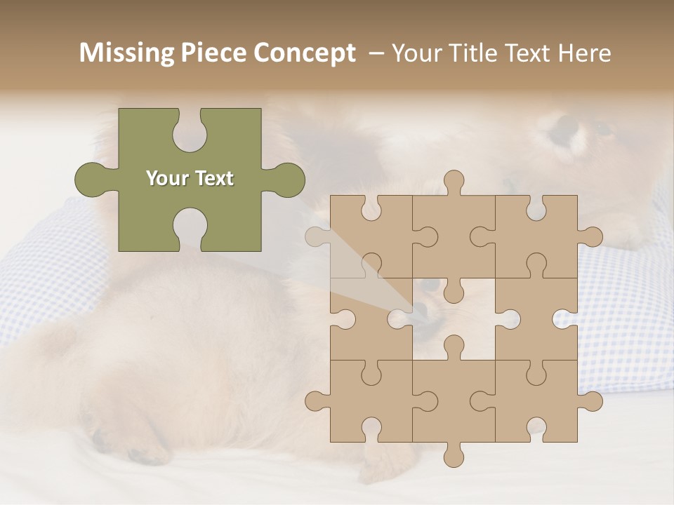 Sweet Dogs PowerPoint Template