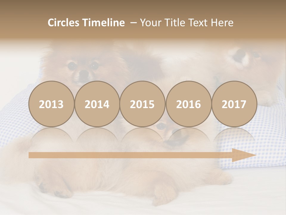 Sweet Dogs PowerPoint Template
