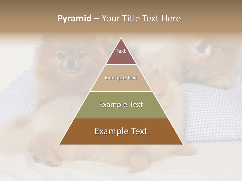 Sweet Dogs PowerPoint Template