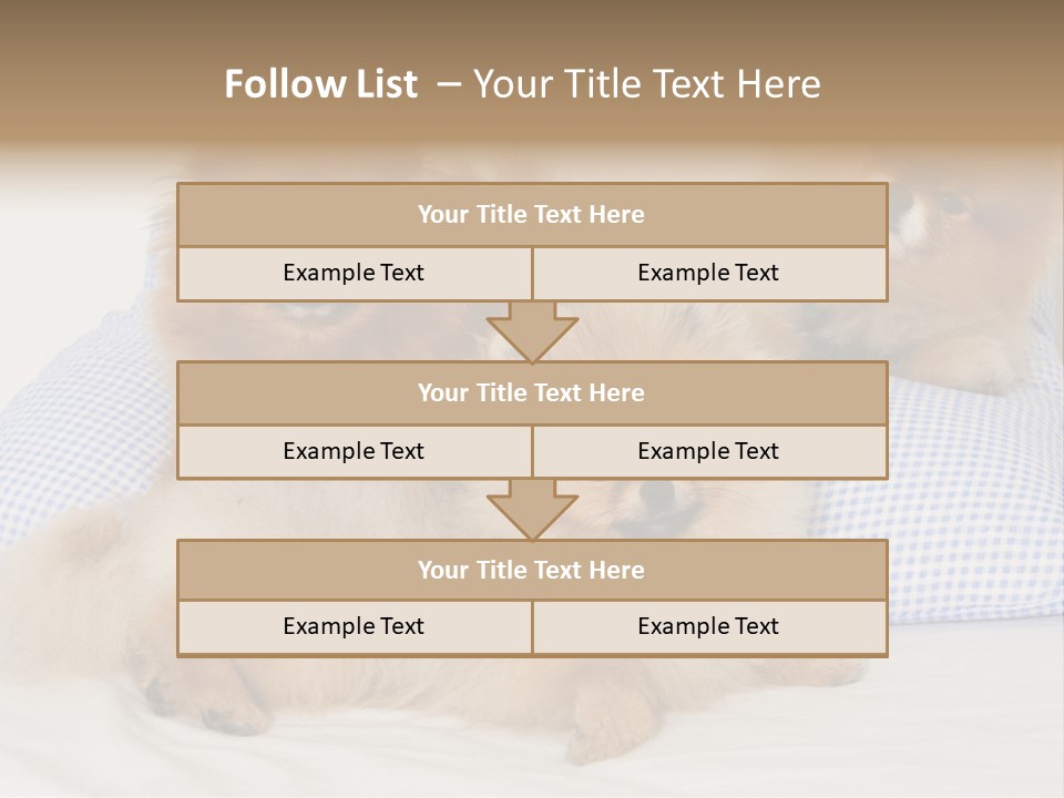 Sweet Dogs PowerPoint Template