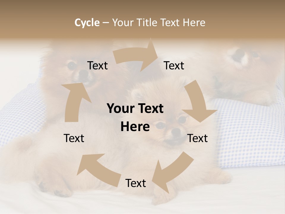 Sweet Dogs PowerPoint Template