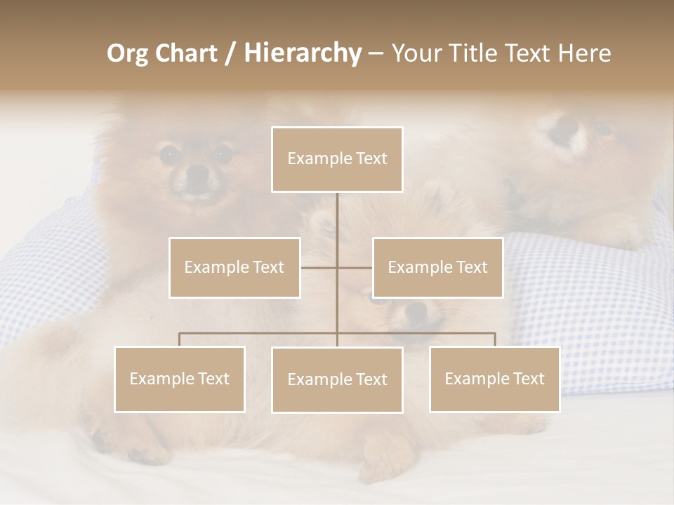 Sweet Dogs PowerPoint Template