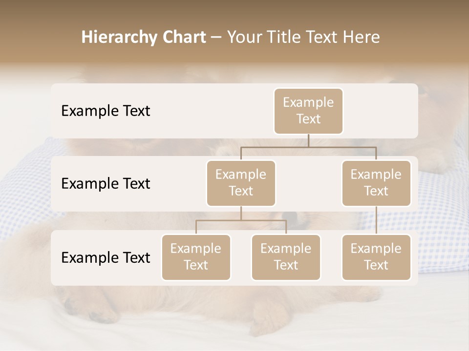 Sweet Dogs PowerPoint Template