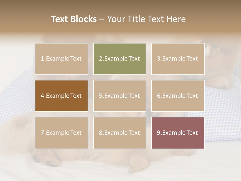 Sweet Dogs PowerPoint Template