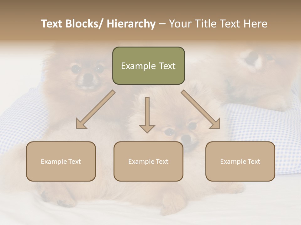 Sweet Dogs PowerPoint Template