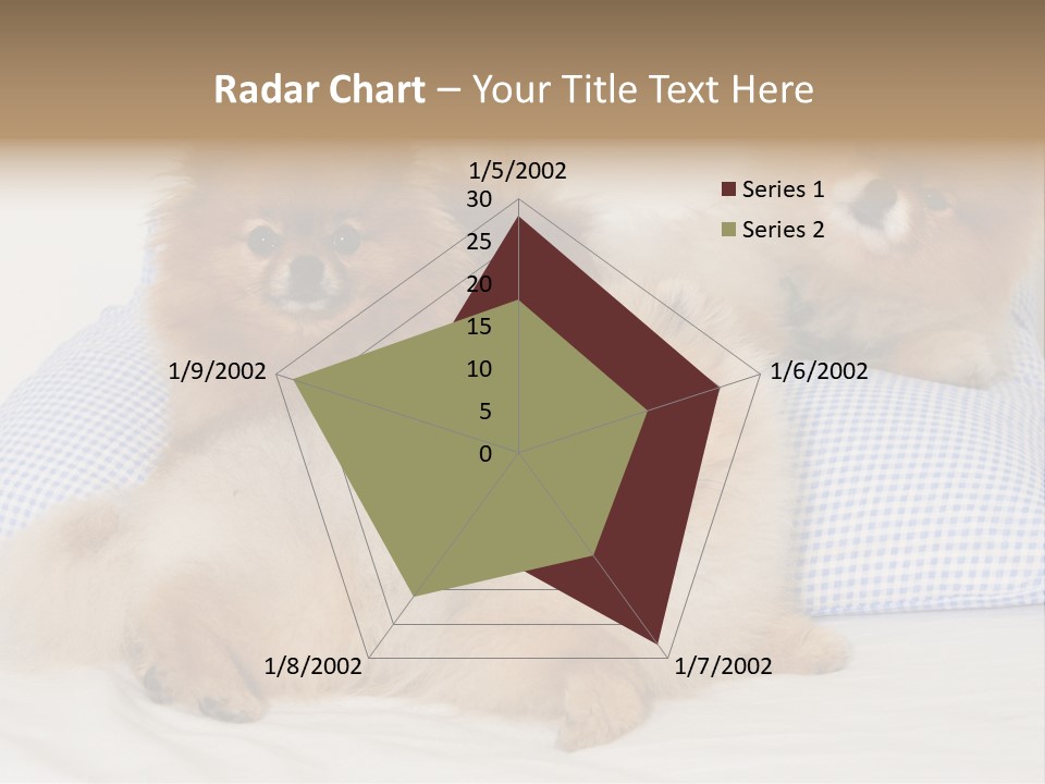 Sweet Dogs PowerPoint Template