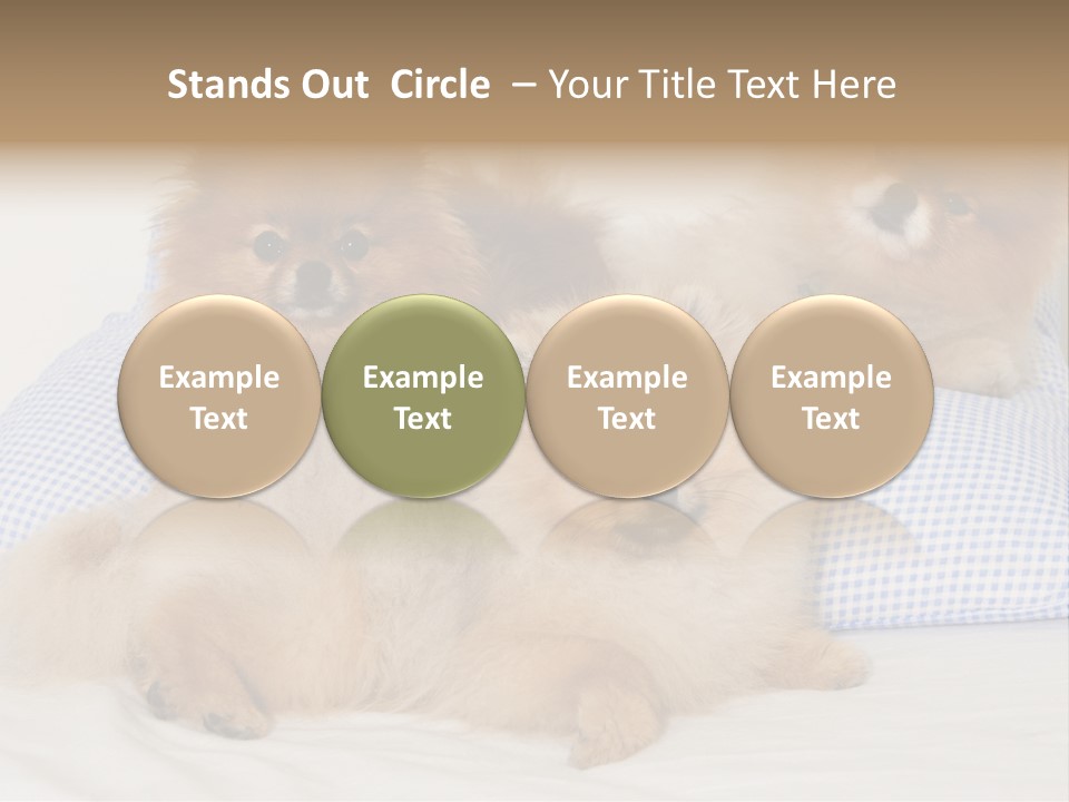 Sweet Dogs PowerPoint Template