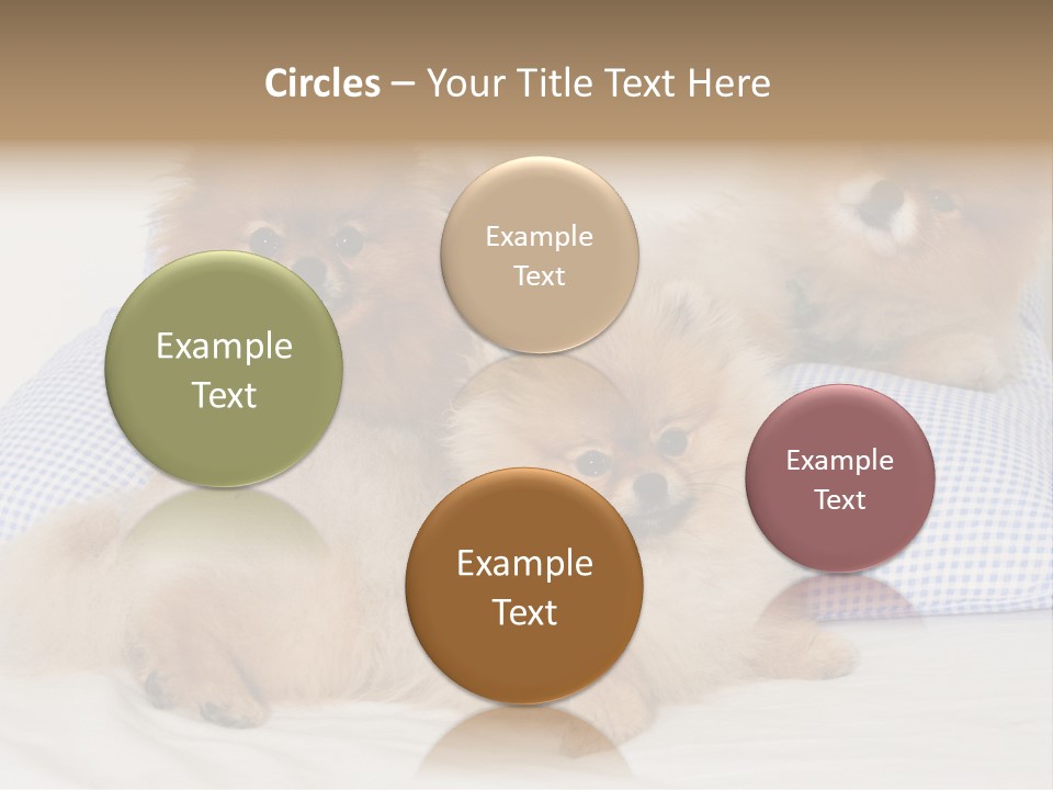 Sweet Dogs PowerPoint Template