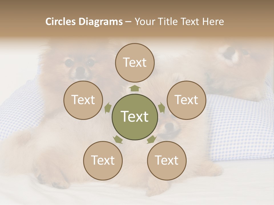 Sweet Dogs PowerPoint Template