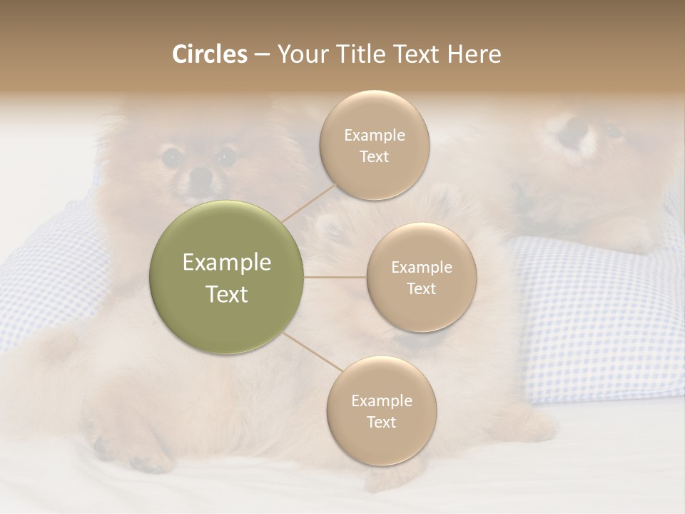 Sweet Dogs PowerPoint Template