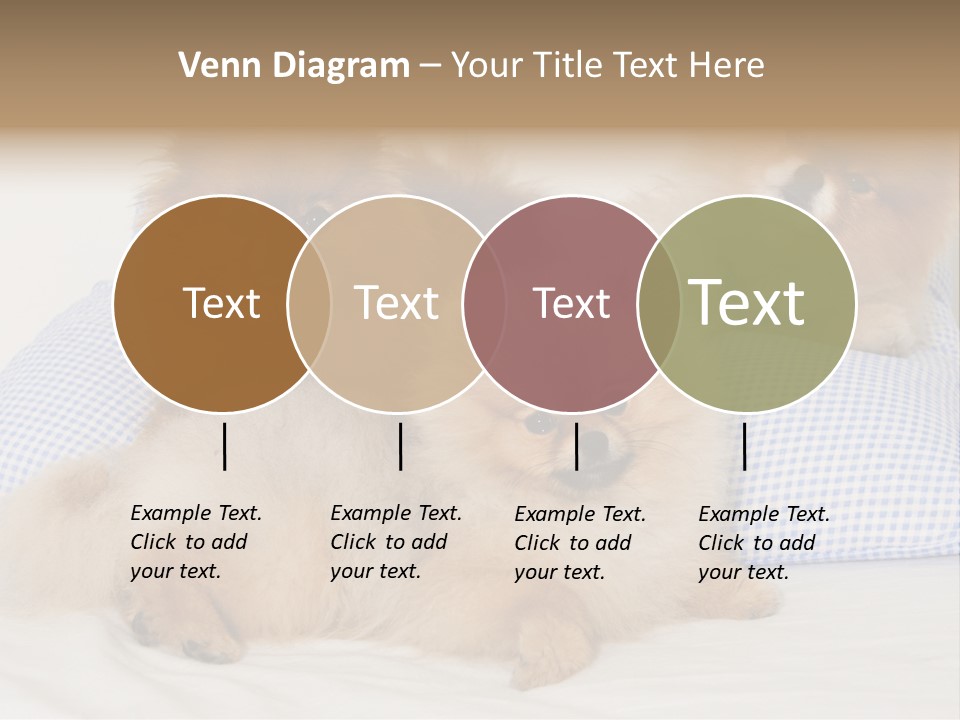 Sweet Dogs PowerPoint Template