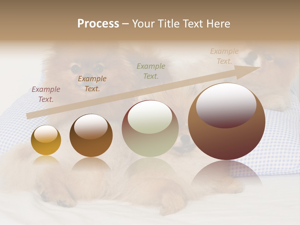 Sweet Dogs PowerPoint Template