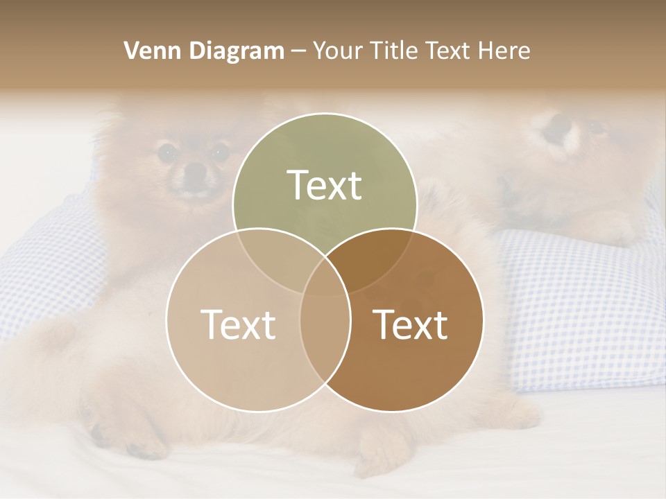 Sweet Dogs PowerPoint Template