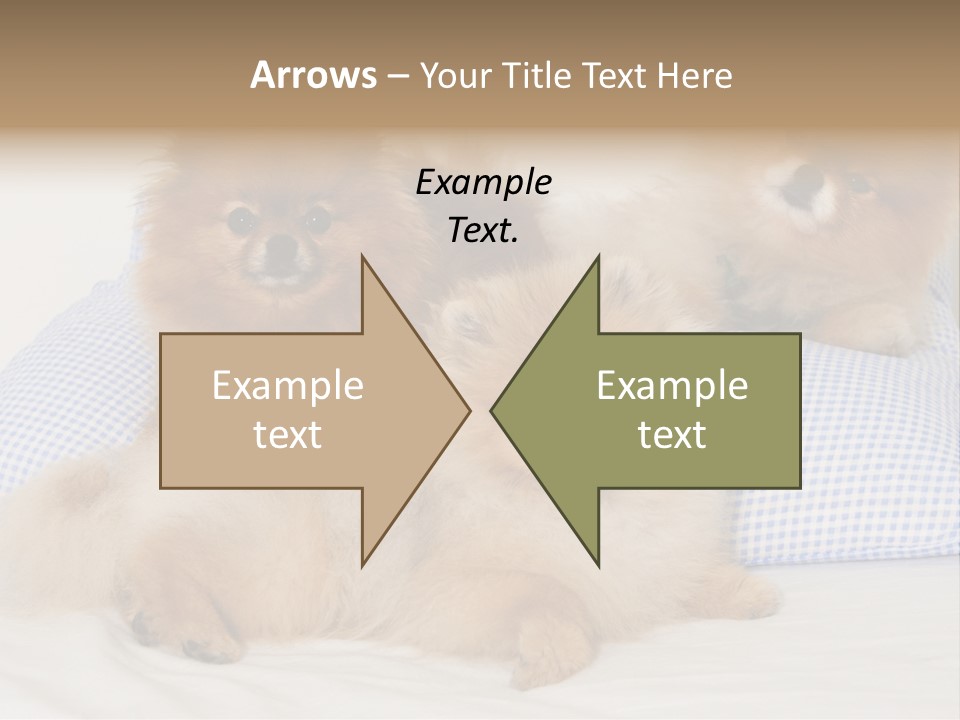 Sweet Dogs PowerPoint Template