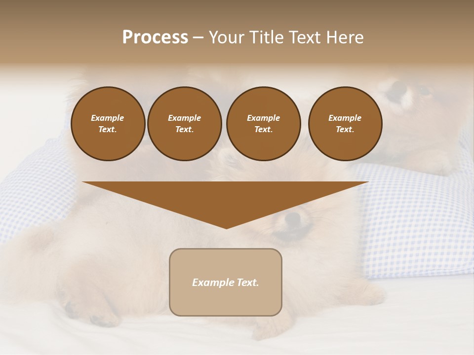 Sweet Dogs PowerPoint Template