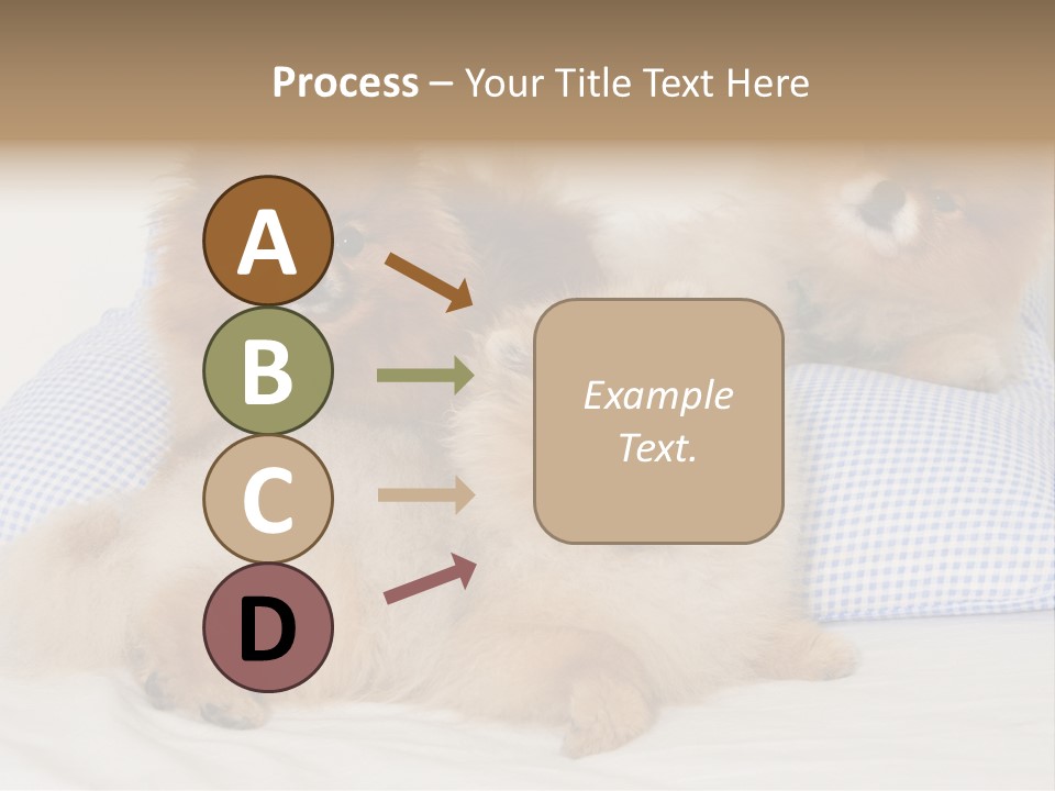 Sweet Dogs PowerPoint Template