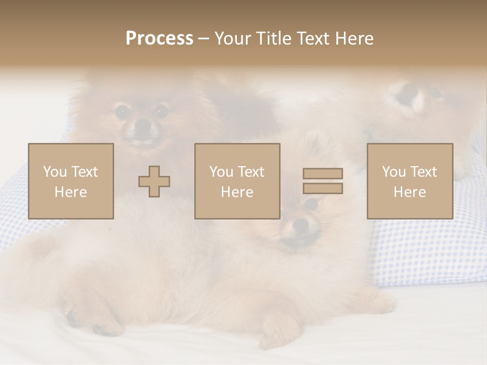 Sweet Dogs PowerPoint Template