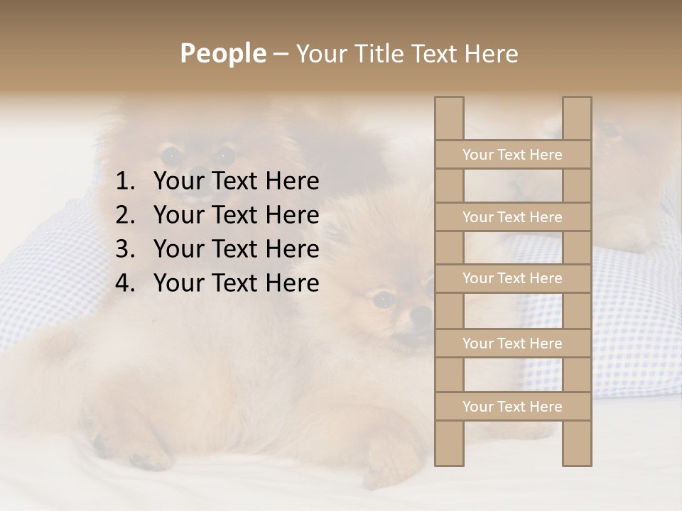 Sweet Dogs PowerPoint Template