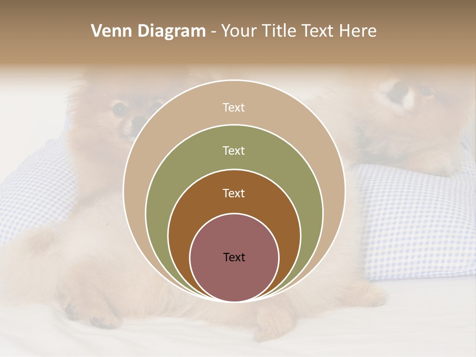 Sweet Dogs PowerPoint Template