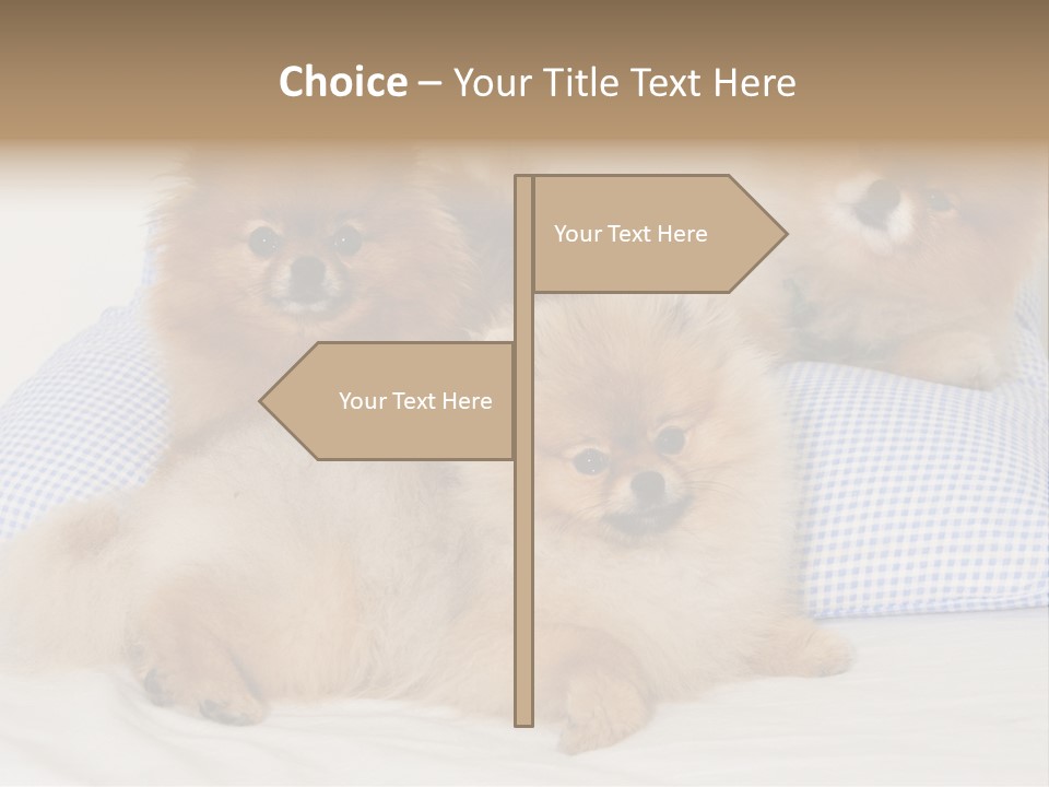 Sweet Dogs PowerPoint Template