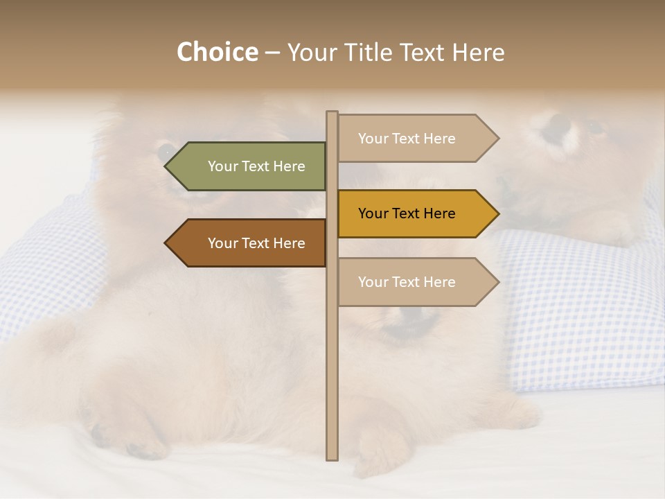 Sweet Dogs PowerPoint Template