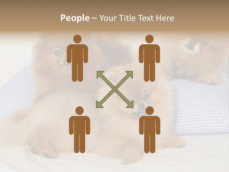 Sweet Dogs PowerPoint Template
