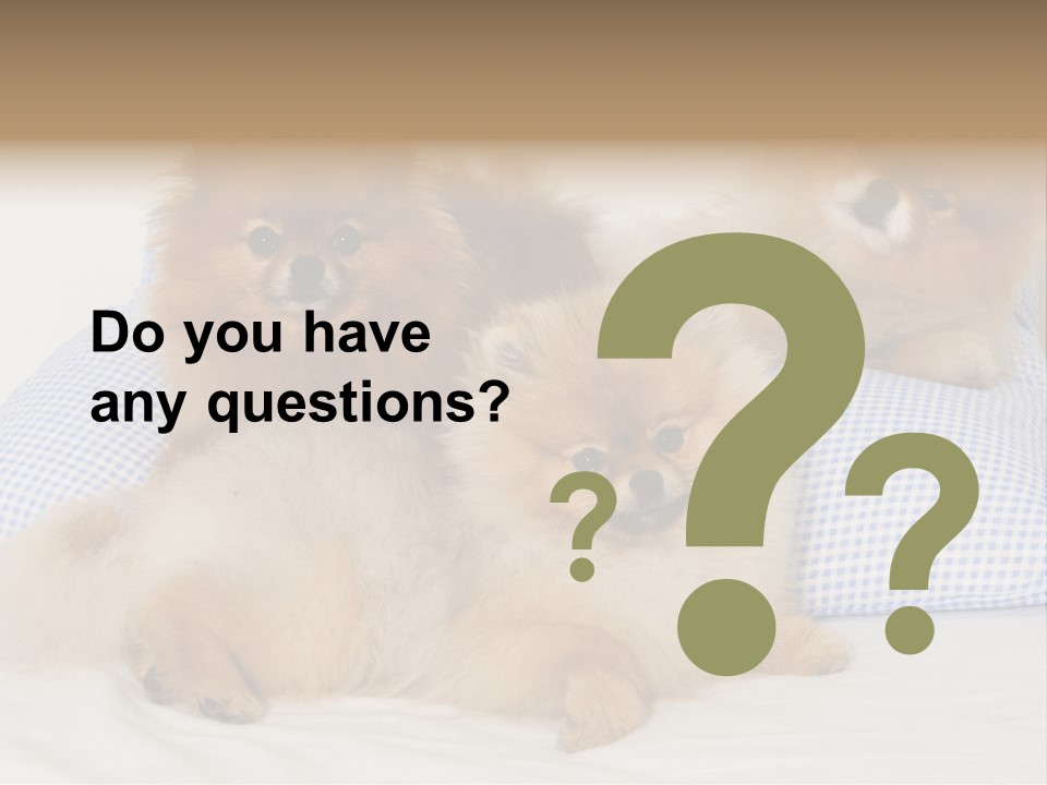 Sweet Dogs PowerPoint Template