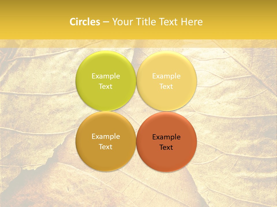 Pattern October Closeup PowerPoint Template