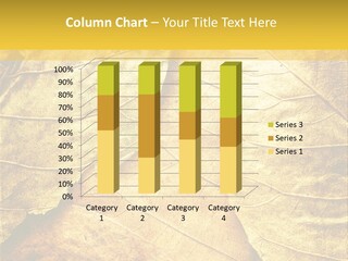 Pattern October Closeup PowerPoint Template