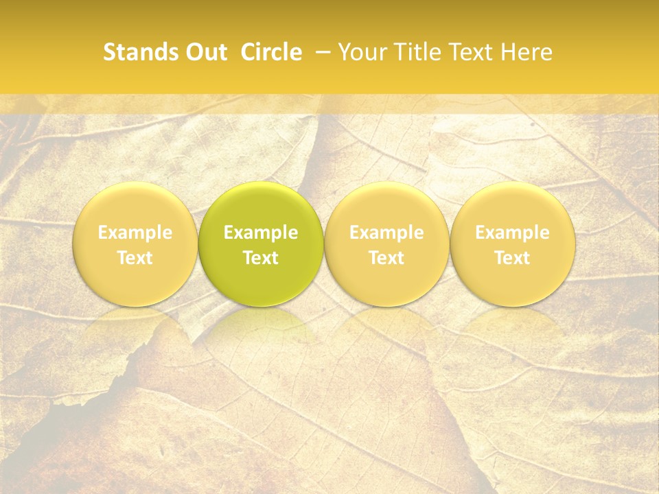 Pattern October Closeup PowerPoint Template