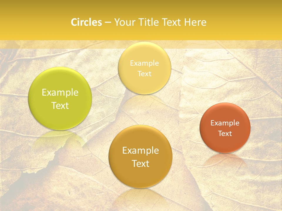 Pattern October Closeup PowerPoint Template