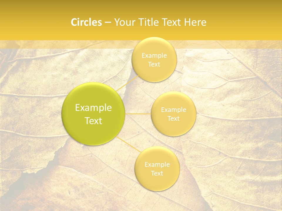Pattern October Closeup PowerPoint Template