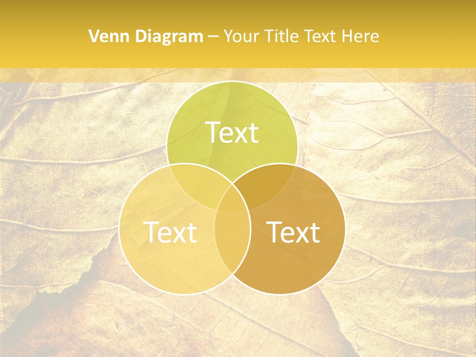 Pattern October Closeup PowerPoint Template