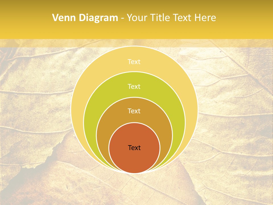 Pattern October Closeup PowerPoint Template