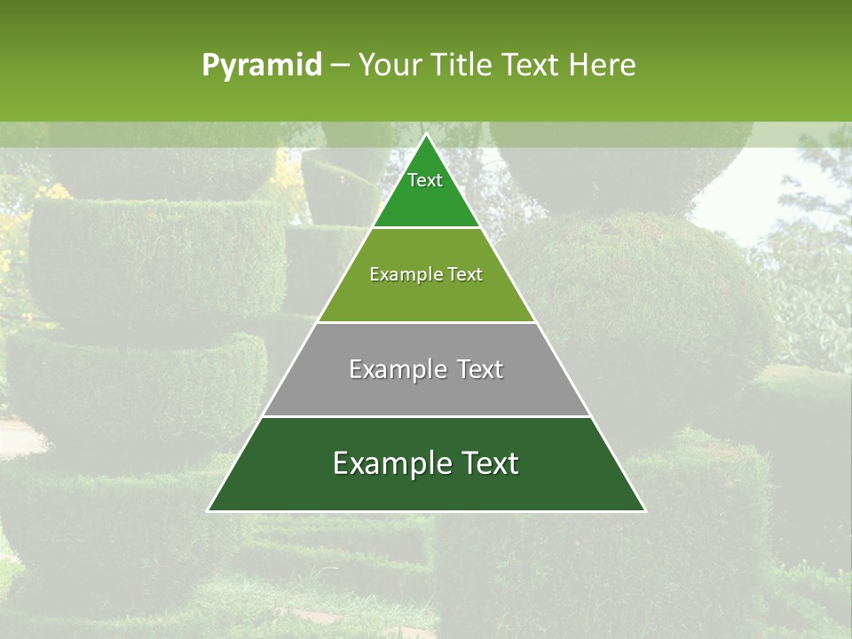 Vibrant Grow Lush PowerPoint Template