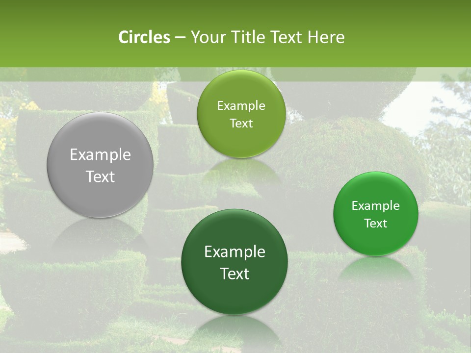 Vibrant Grow Lush PowerPoint Template