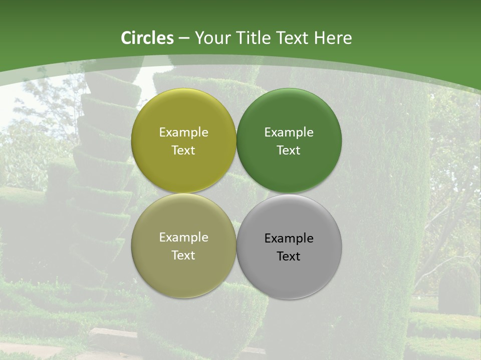 Funchal Shape Lush PowerPoint Template