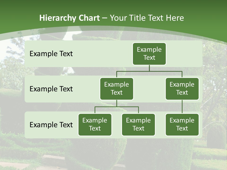Funchal Shape Lush PowerPoint Template