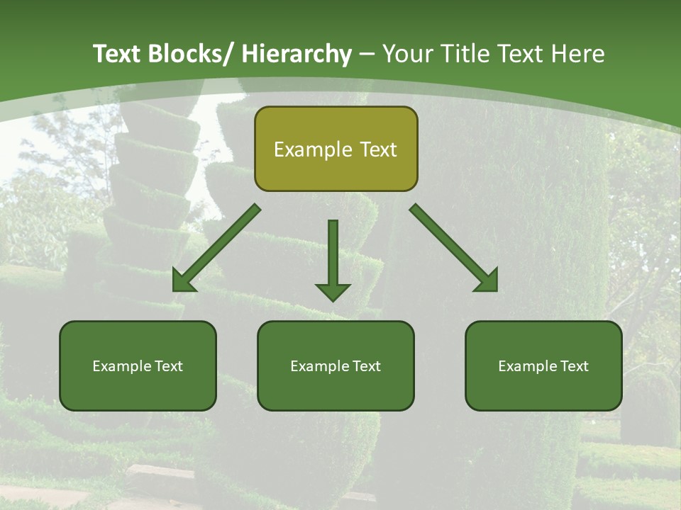 Funchal Shape Lush PowerPoint Template
