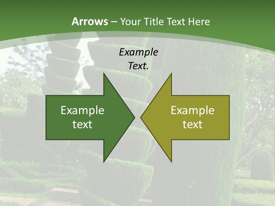 Funchal Shape Lush PowerPoint Template