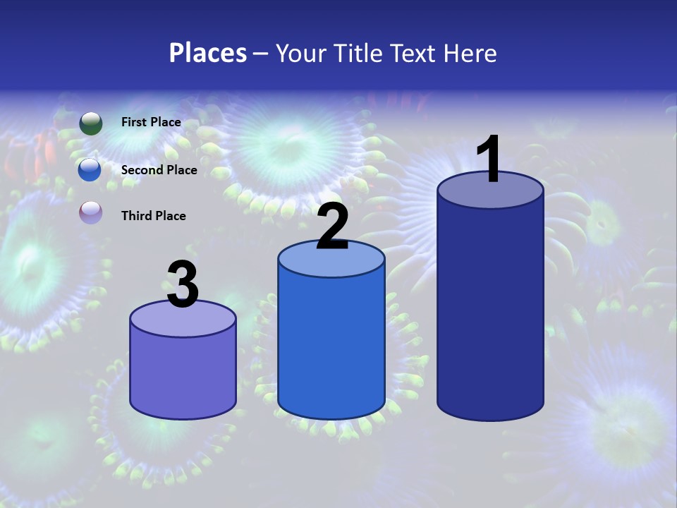 Zoanthids Coral PowerPoint Template