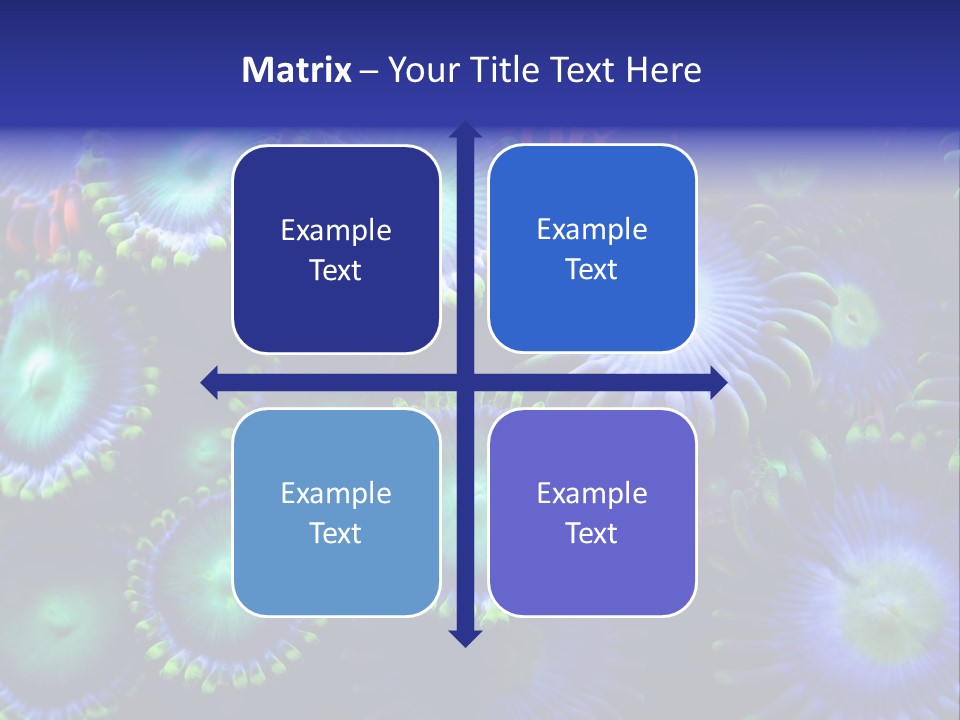 Zoanthids Coral PowerPoint Template