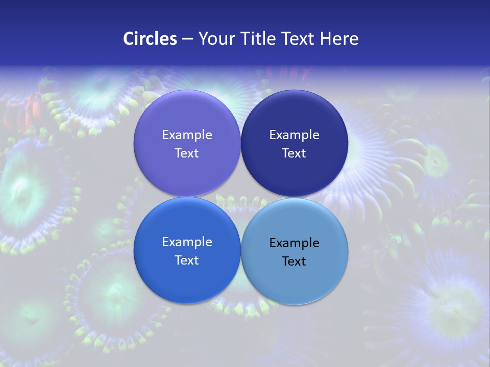 Zoanthids Coral PowerPoint Template