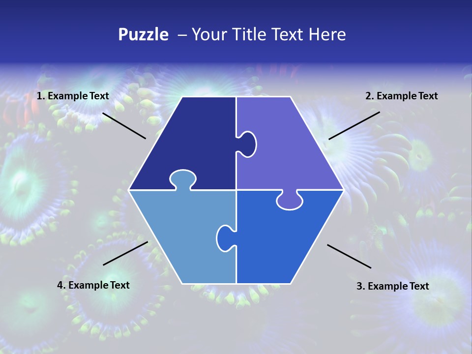 Zoanthids Coral PowerPoint Template