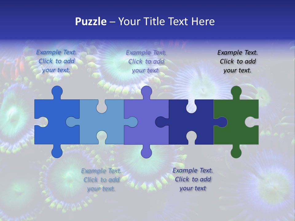 Zoanthids Coral PowerPoint Template