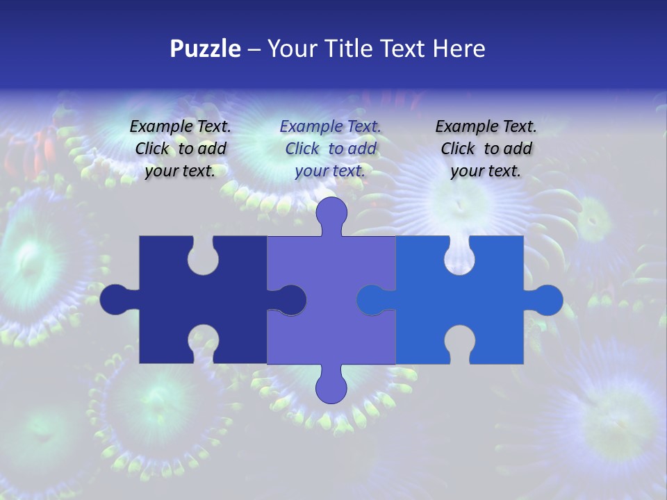 Zoanthids Coral PowerPoint Template