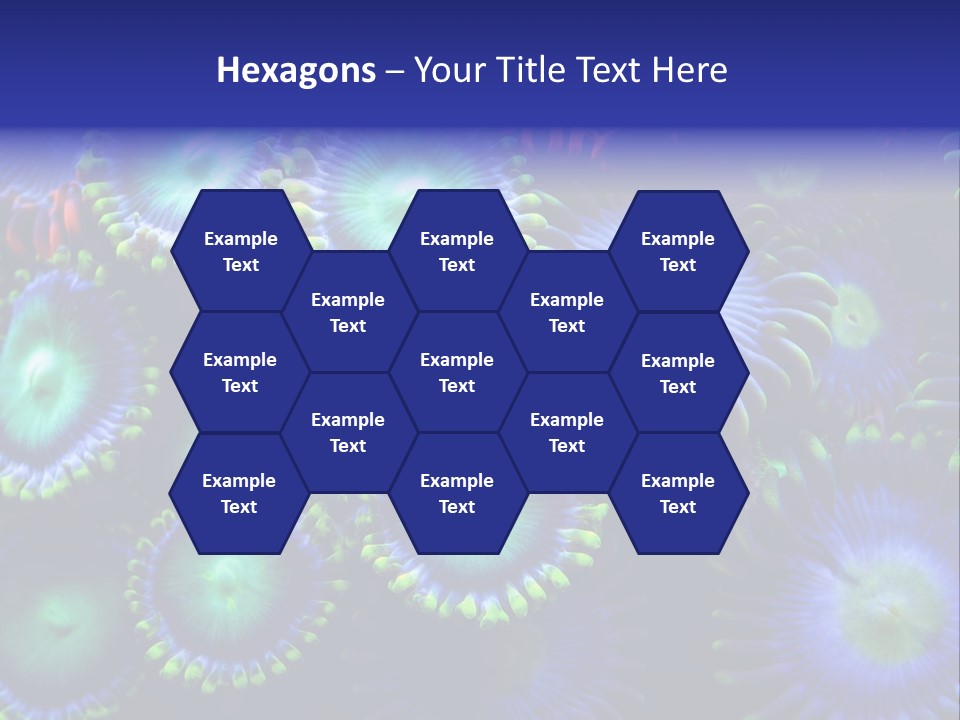 Zoanthids Coral PowerPoint Template